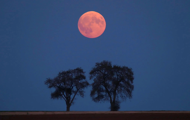 La Luna de la Cosecha se unir&aacute; a Saturno en una espectacular conjunci&oacute;n este fin de semana, 26-27 de sept. 2026