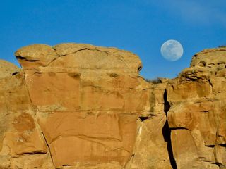 La luna llena del 7 marzo de 2023: del cuervo, de la corteza, del gusano ..