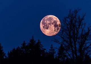 Este domingo brillará la Luna Rosa: la luna llena más especial de la primavera
