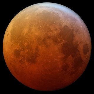 La luz de la luna y el vuelo nocturno en los vencejos negros