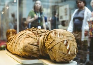 La maldición de los hongos tóxicos de Tutankamón esconde una posible solución para la medicina moderna