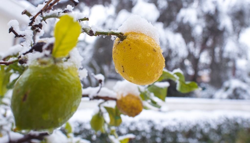 Protezione dal freddo invernale