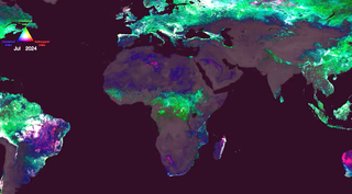 La misi&oacute;n PACE de la NASA revela un a&ntilde;o de datos terrestres sobre la salud de las plantas observada desdeel espacio