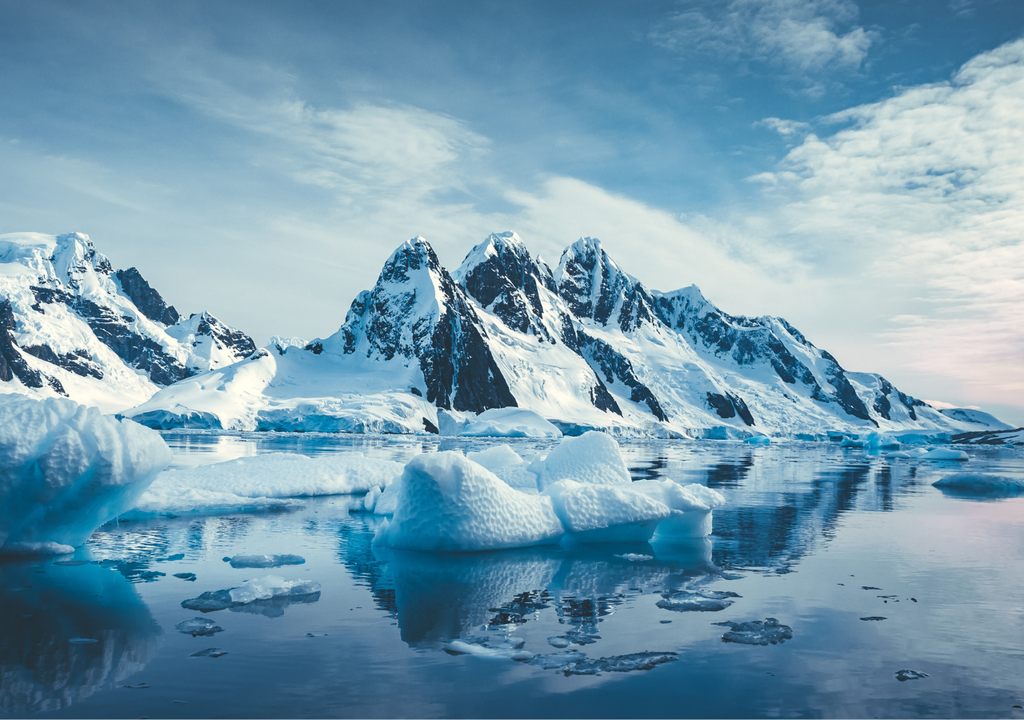 Más allá de la pérdida material del submarino robot Ran, sus expediciones permitieron descubrir información clave sobre los deshielos en base.