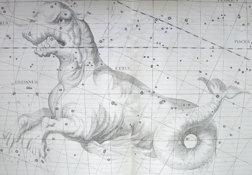Cetus Cetus