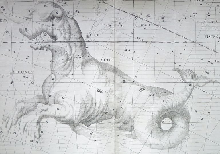 La mitología de las constelaciones: el monstruo marino Cetus