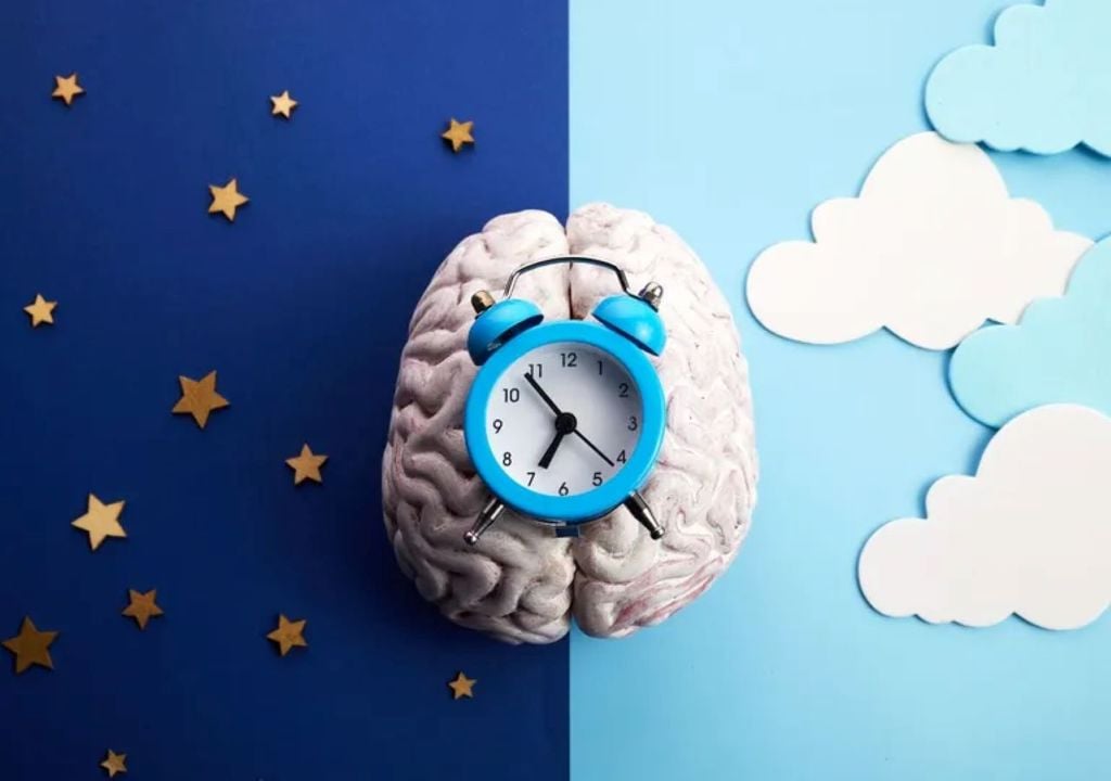 Le concept d'"horloge biologique" est utilisé pour décrire les cycles internes de notre corps qui régulent le sommeil, l'éveil et d'autres processus physiologiques.