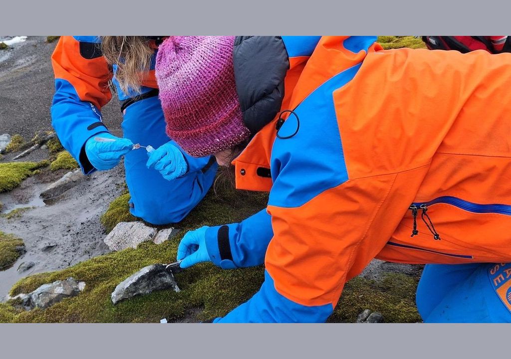 Investigadores recolectando muestras. Investigadores recolectando muestras.