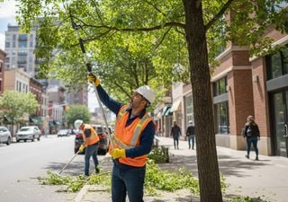 La multa por podar el árbol de tu vereda puede superar el millón de pesos: esto dice la ley