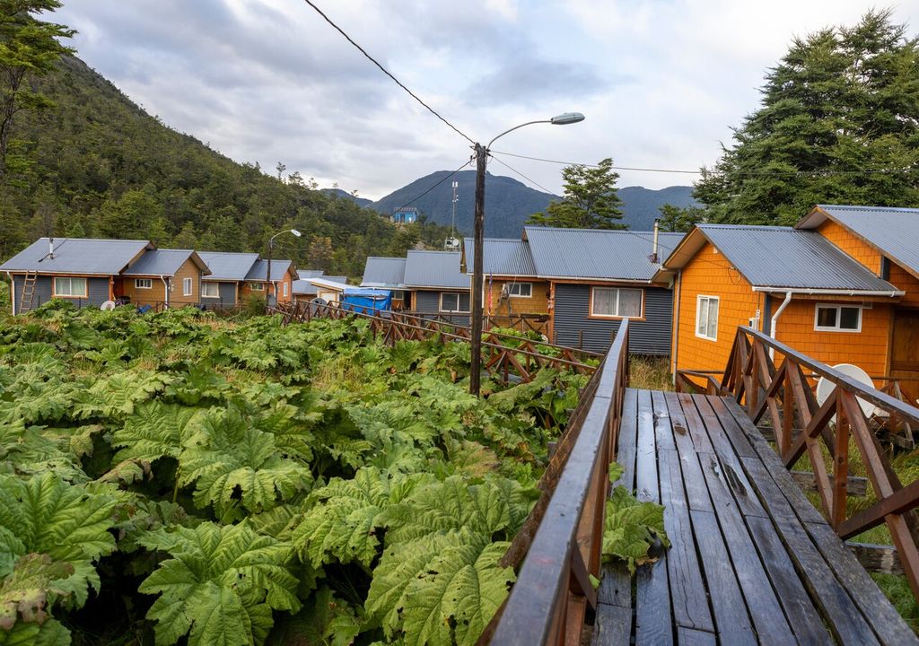 Desde generaciones, la nalca ha acompañado la mesa y el paisaje del sur chileno, siendo parte esencial de la identidad campesina y culinaria.