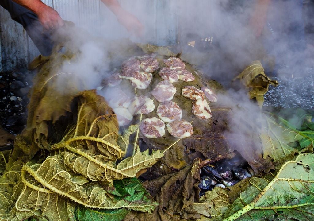 En el curanto tradicional, las hojas de nalca se usan para cubrir los ingredientes y retener el vapor, aportando humedad, calor y un aroma vegetal característico del sur.