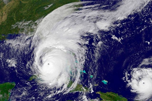 La Naranja De Florida Golpeada Por Irma Y Otras Enfermedades La Naranja De Florida Golpeada Por Irma Y Otras Enfermedades
