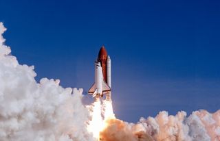 La NASA envi&oacute; 12,5 millones de semillas de tomate al espacio: volvieron casi 6 a&ntilde;os despu&eacute;s y el resultado sorprendi&oacute;