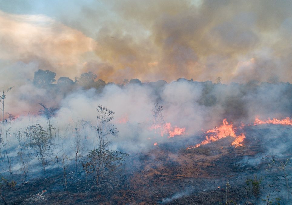 La NASA pone a prueba drones meteorológicos en la lucha contra los incendios forestales. Noticias en tiempo real