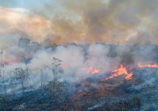 NASA tests weather drones in the fight against forest fires