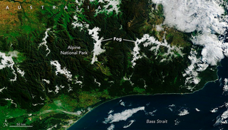 La NASA revela la belleza de las nubes de Australia con fotos satelitales que parecen piezas de museo