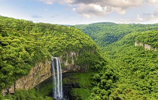 La naturaleza, el aliado más efectivo contra el cambio climático