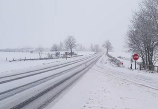 La neige tombe en plaine depuis quelques heures : les 1ères images !