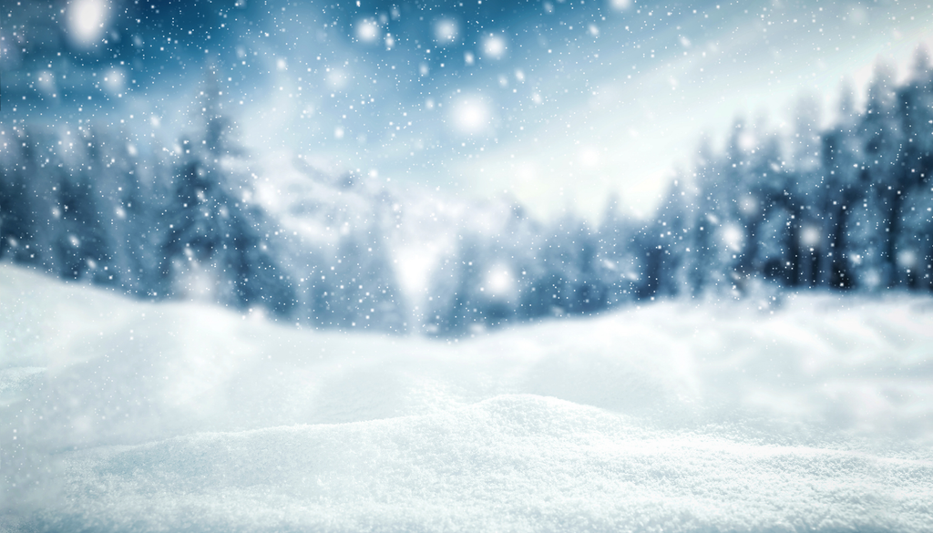 criosfera; albedo; balance; energia; calentamiento global Cada invierno, cerca del 31 % de toda la superficie terrestre emergida queda cubierta por nieve, reduciéndose al 1.3 % en verano.
