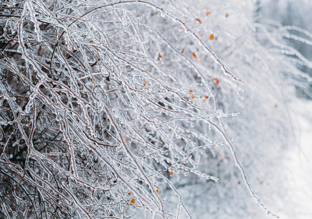 hielo hielo