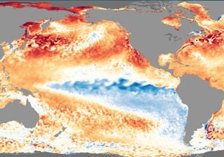 La Niña 2020 poderá ser mais forte do que previsto