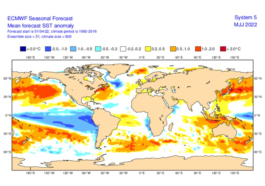 ECMWF SST ECMWF SST