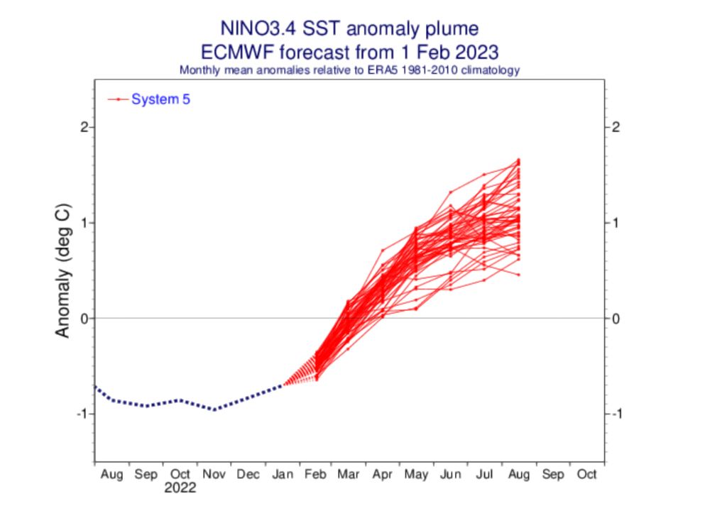 Pluma de previsões do ENOS pelo modelo ECMWF