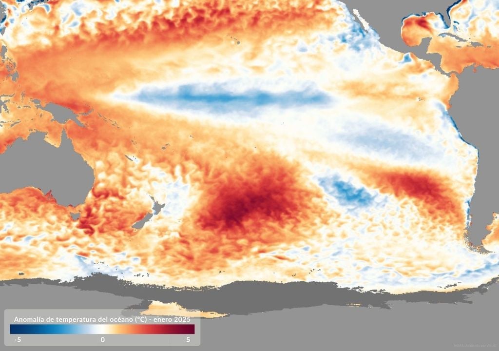 Anomalía de temperatura superficial del mar para enero 2025