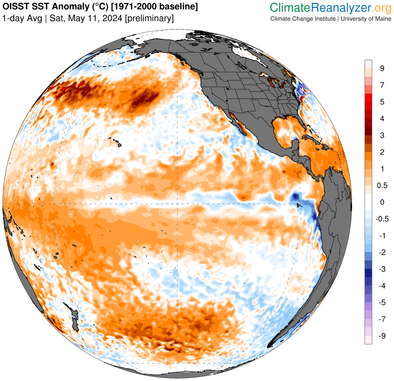 ea water temperature anomalies in the Pacific with cold/warm anomalies in blue/red tones. Cold anomalies are already appearing in the central and eastern equatorial zone with signs of a La Niña on the horizon. Climate Reanalyzer.