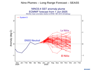 ¿Tendremos nuevamente La Niña en el horizonte climatológico a finales de 2025 o a primeros de 2026?