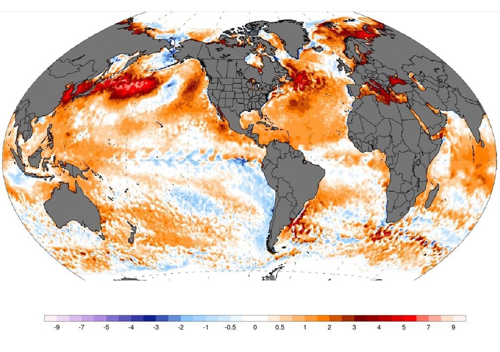 Anomalía de SST. NOAA. ENSO. La Niña