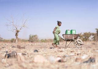 La Niña está a desenvolver-se: que impactos para o globo?