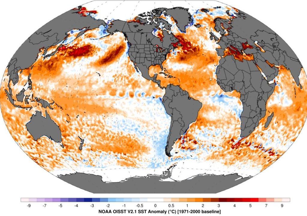 Le champ d'anomalies SST pour le 15 juillet 2024 montre de petites zones d'anomalies SST négatives dans la région du Pacifique équatorial, qui reste dans des conditions ENOS neutres. Source : Climate Reanalyzer | Climate Change Institute | University of Maine.