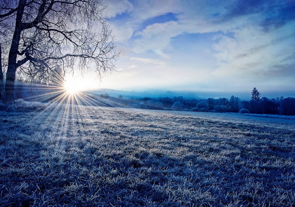 On prévoit un hiver typique avec des périodes de pluie et des températures normales, mais il est possible que les températures soient très basses avec des pluies et des chutes de neige. Des journées ensoleillées et chaudes sont probables.