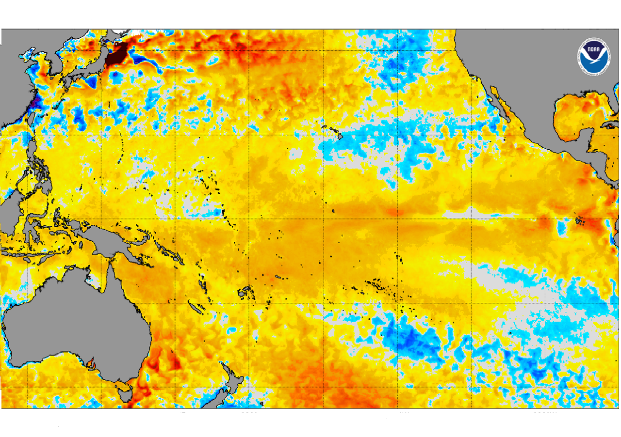 El Niño comienza a perder intensidad, pasando a fase neutra esta primavera y retornando La Niña en verano.