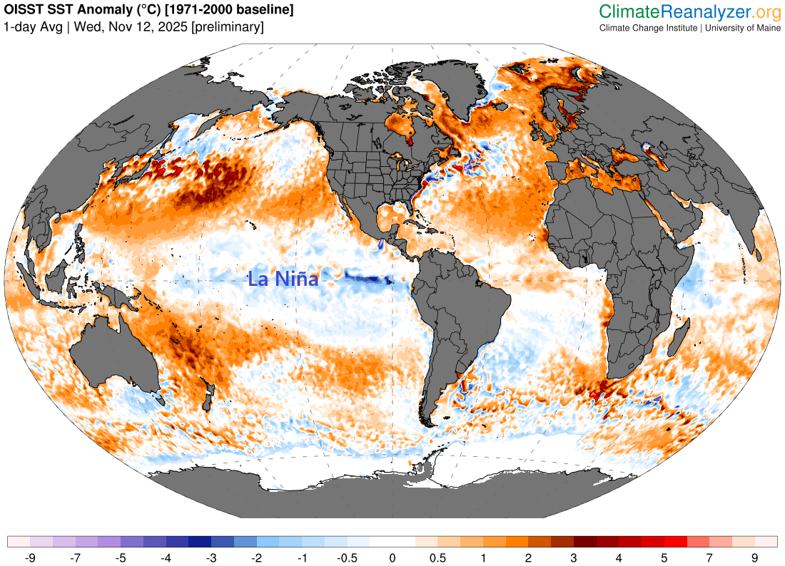 Anomalías de la temperatura del agua del mar con anomalías frías/cálidas en tonalidades azules/rojas. En el Pacífico ecuatorial se observan las anomalías frías de las aguas debido a los efectos de La Niña. Fuente: Climate Reanalyzer.