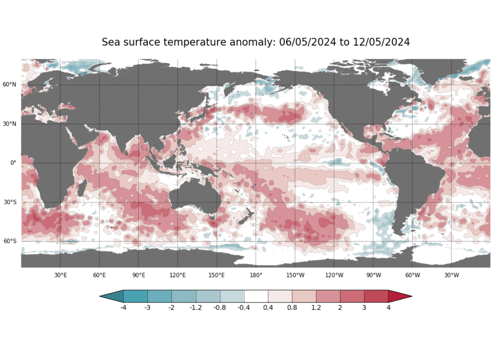Anomalía de temperatura superficial del mar. Anomalía de temperatura superficial del mar.