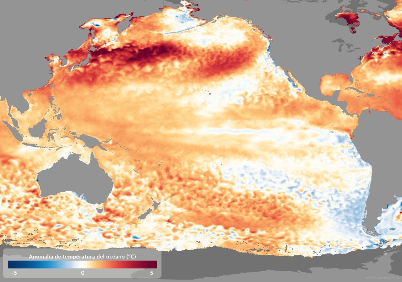 Aunque las aguas aún están cálidas, no es lo suficiente para un episodio El Niño. La nuetralidad del ENOS prevalece en el Pacífico ecuatorial.