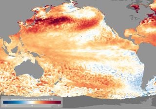 La Niña se atrasó e incluso podría no llegar durante el 2024, según pronósticos de los grandes centros del clima