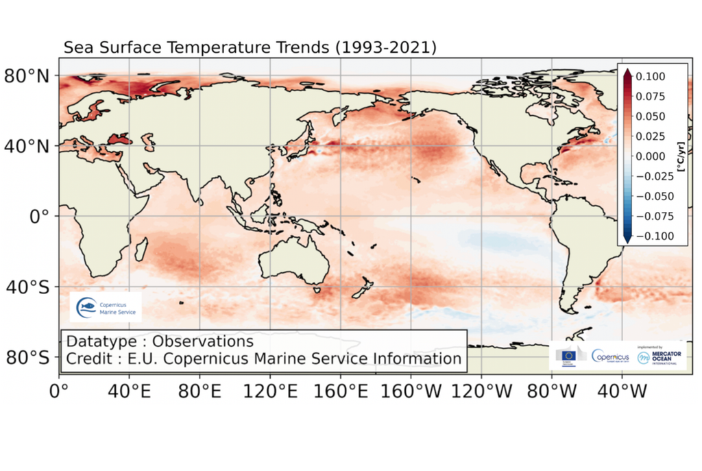 Tendencia de la temperatura superficial del mar (TSM) La tendencia de largo plazo, asociada principalmente con el cambio climático, de la temperatura superficial del mar, significa un problema para el monitoreo del fenómeno del Niño. Fuente: Copernicus Marine Service.