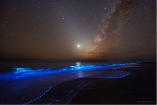 La noche iluminada