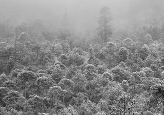 La noticia de la semana: las temperaturas irán a la baja, aumentando nubosidad y lluvias con un posible tiempo invernal
