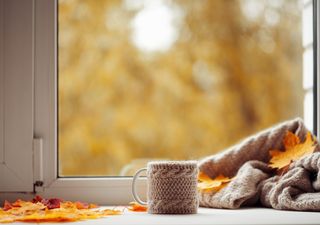 La noticia de la semana: se vigilan dos frentes fríos con aire polar-ártico, afectando estas entidades de México