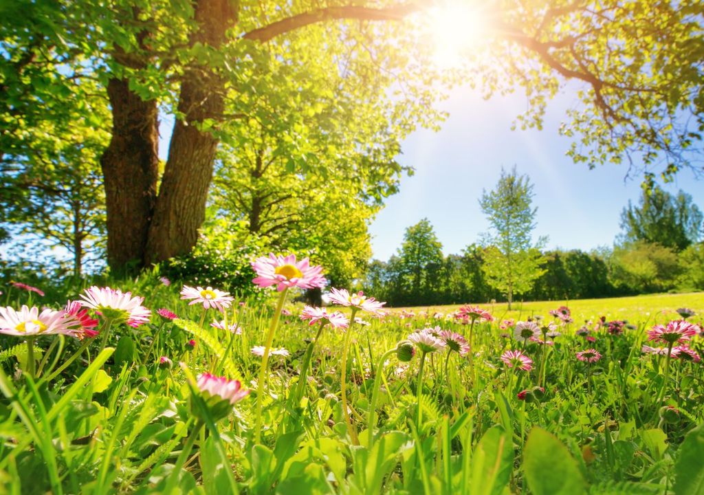 La festa di San Giovanni e il solstizio d'estate