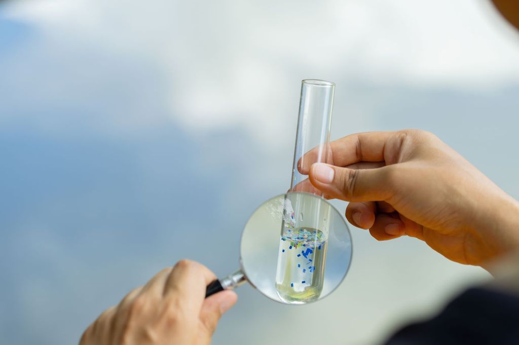 Los científicos explican que la plastisfera son las comunidades microbianas que colonizan la superficie de los microplásticos.