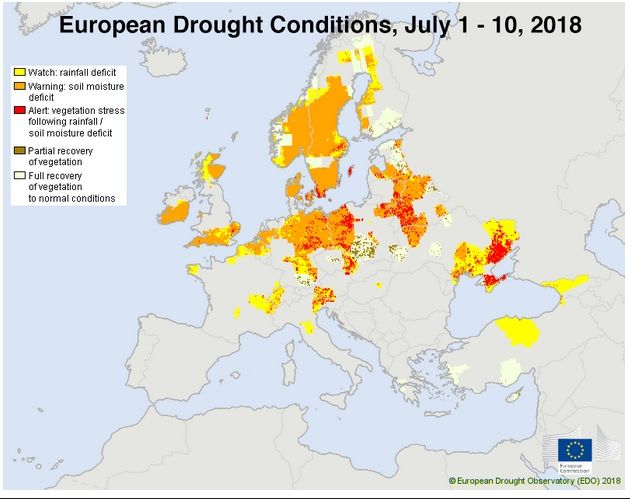 La intensa sequía se apoderó de gran parte del norte de Europa en julio de 2018. Las condiciones de sequía han empeorado en la zona afectada en las 2 semanas y media transcurridas desde que se observaron estas condiciones entre el 1 y el 10 de julio de 2018 (arriba) La intensa sequía se apoderó de gran parte del norte de Europa en julio de 2018. Las condiciones de sequía han empeorado en la zona afectada en las 2 semanas y media transcurridas desde que se observaron estas condiciones entre el 1 y el 10 de julio de 2018 (arriba)