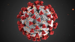 La OMM informa sobre el impacto de la COVID-19 en la ciencia