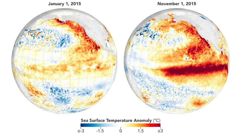 clima; ENOS; calentamiento; oceano; ONI En noviembre de 2015, el calentamiento del Pacífico ecuatorial mostraba la señal característica de El Niño. Crédito: NASA Earth Observatory/Michala Garrison. Datos del proyecto MUR SST.