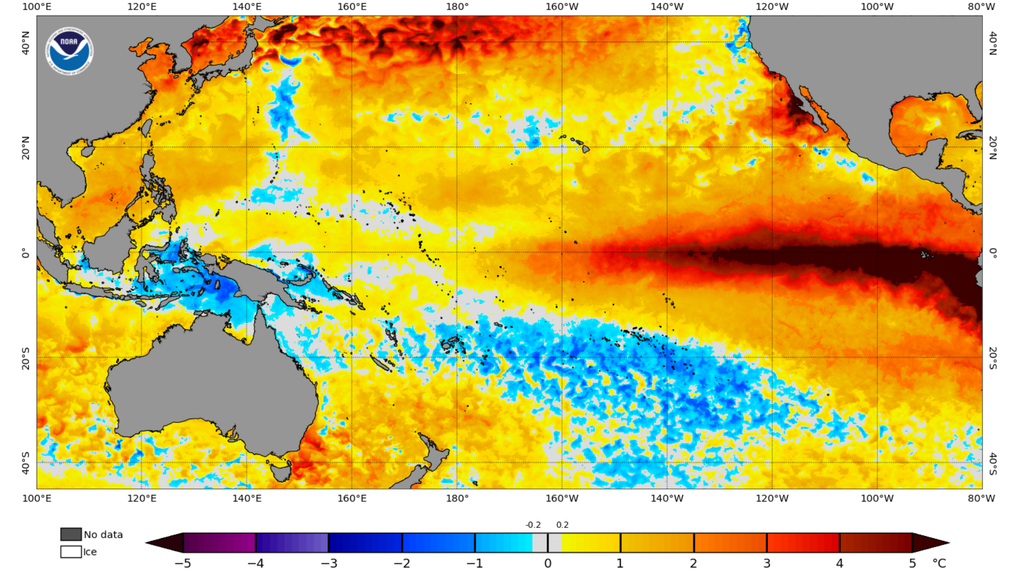 SST; ONI; oceano; calentamiento; anomalia; temperatura La franja roja del Pacífico ecuatorial muestra aguas más cálidas de lo habitual, una señal de El Niño. Crédito: NOAA Coral Reef Watch, 12 de octubre de 2026.
