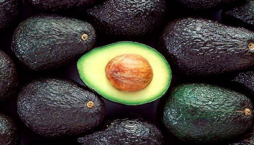 La palta chilena va por un r&eacute;cord: agua y temperaturas marcan una temporada clave